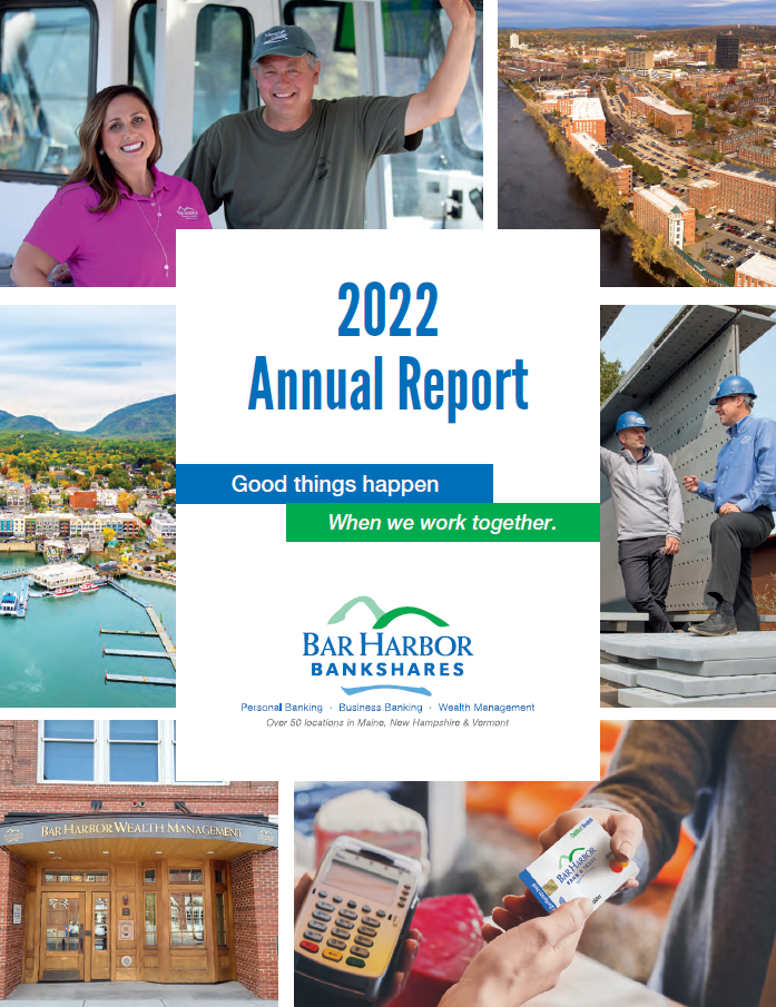 Image of the 2022 annual report cover