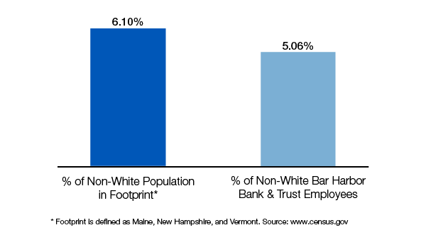 Chart showing BHBT racial diversity compared to population of footprint