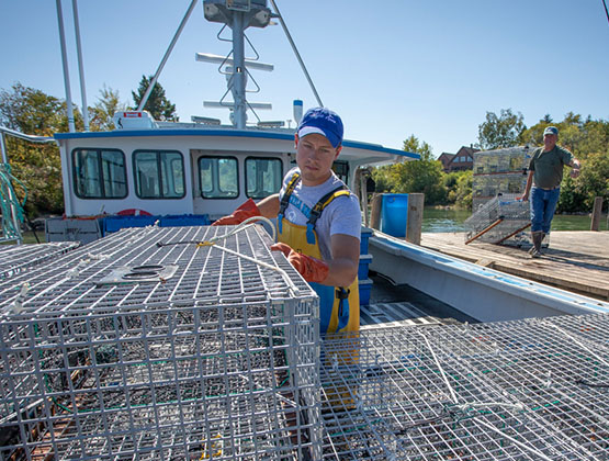 Lobsterman loading traps onto a boat