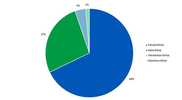 Pie chart comparing gender racial diversity