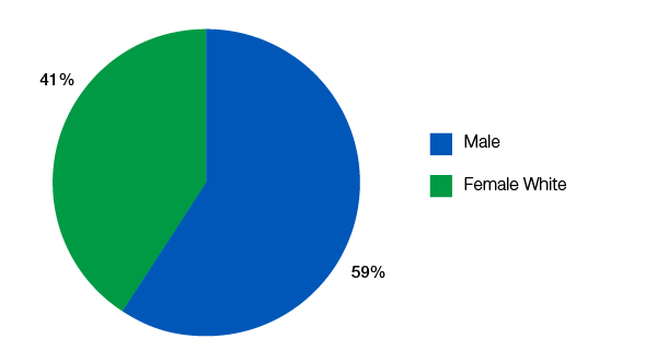 Chart showing gender representation in BHBT leadership